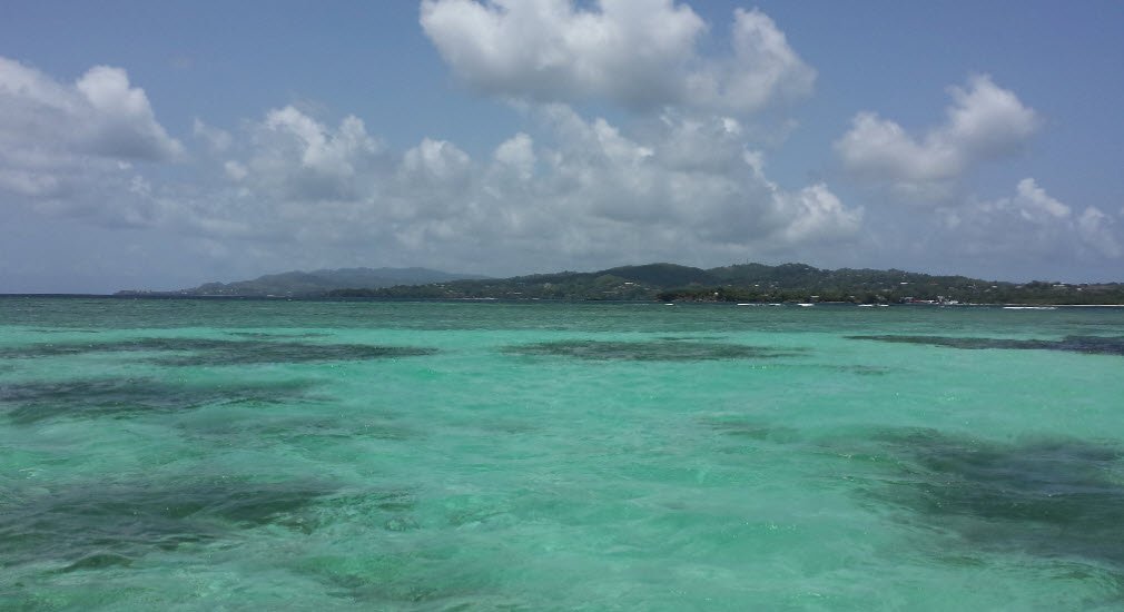 Buccoo Reef, Southwest Tobago, Trinidad and Tobago